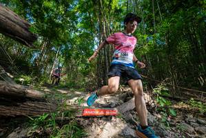 BIB: 
                            <button type="button" onclick="openModal(19388046)" class="btn btn-primary btn-sm float-right btn-popup" data-toggle="modal" data-target=".modal-high-quality">
                        <i class="fas fa-shopping-cart"></i> Add to Cart
                    </button>
                                            <button type="button" onclick="isThisMe(19388046, true)" class="btn btn-success btn-sm float-right btn-popup btn-isme hidden" data-toggle="tooltip" data-placement="bottom" title="นี่คือรูปของคุณใช่ไหม คลิกที่นี่เพื่อเอาเข้าอัลบั้ม">
                        <i class="fas fa-plus"></i> Add to album
                    </button>
                    <button type="button" onclick="isThisMe(19388046, false)" class="btn btn-warning btn-sm float-right btn-popup btn-isnotme hidden">
                        <i class="fas fa-ban"></i> Remove from album
                    </button>